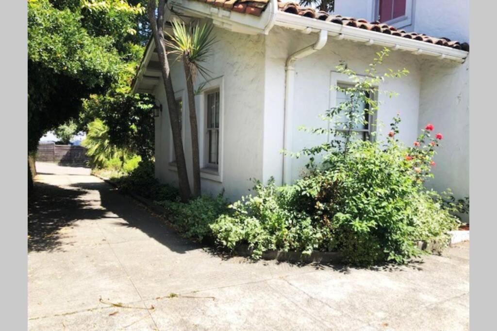 Elegant Spacious Private Studio ~ Upscale Berkeley Dış mekan fotoğraf